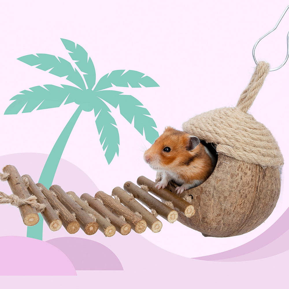 나이트엔젤 코코넛 은신처 6종