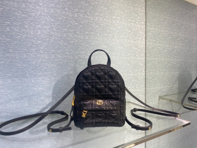 디올 Backpack Bag