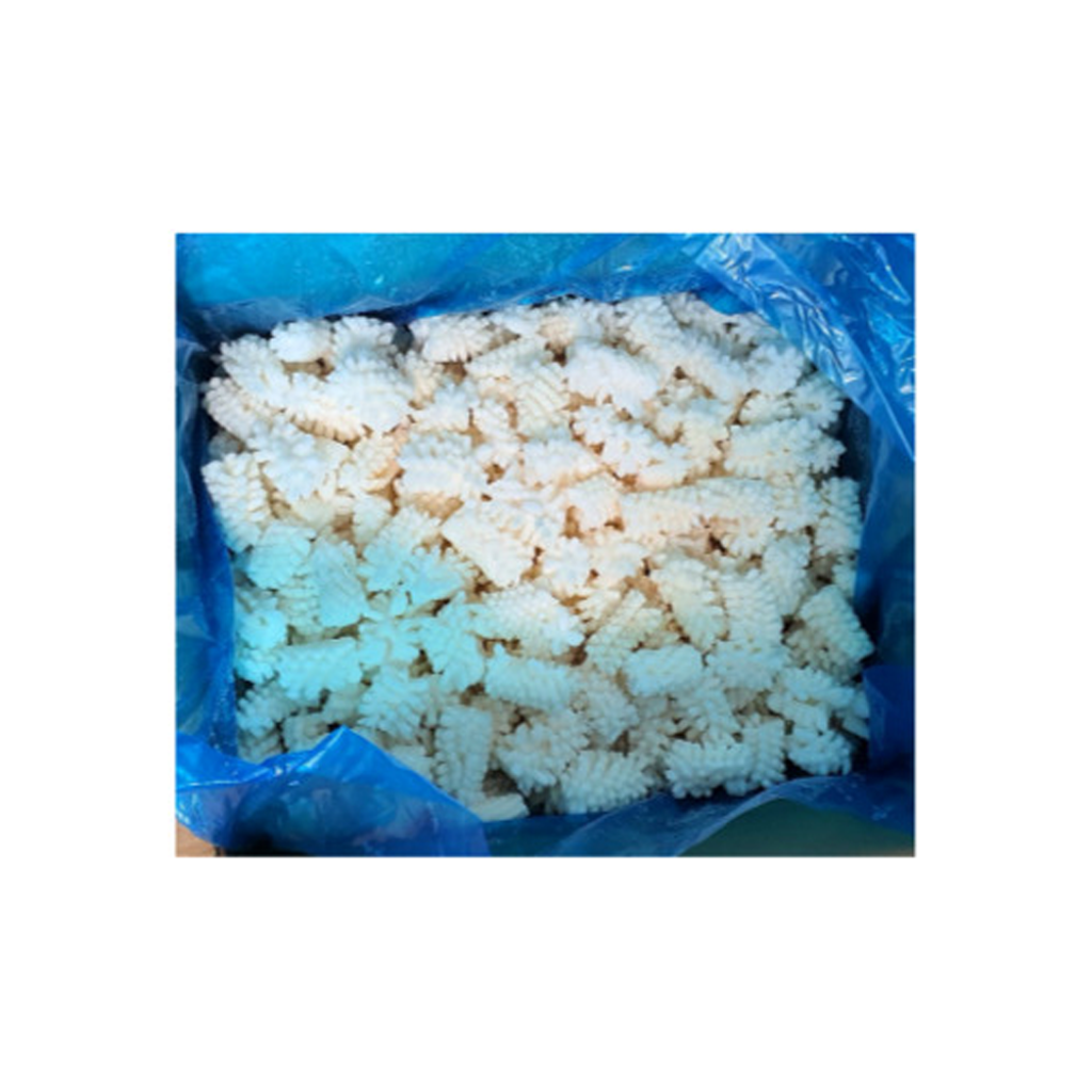 솔방울 오징어(벌크) 10kg