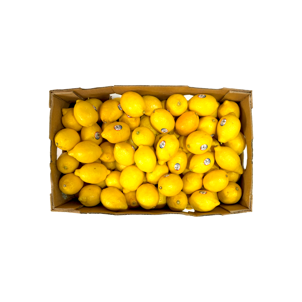 레몬 17kg(140내) 1박스