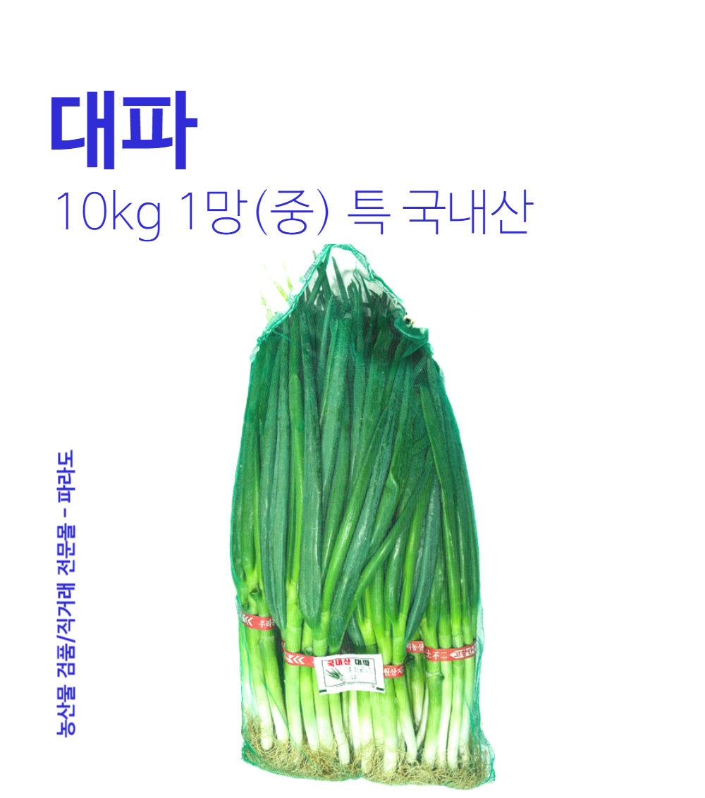 대파 10kg(중) 1망 - 파라도