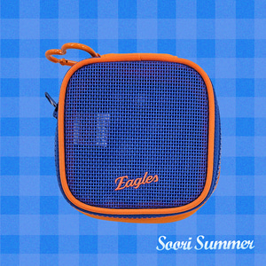 썸머 메쉬 미니 파우치