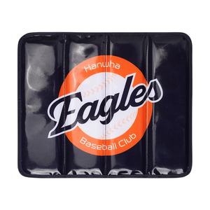 이글스 야구장 방석