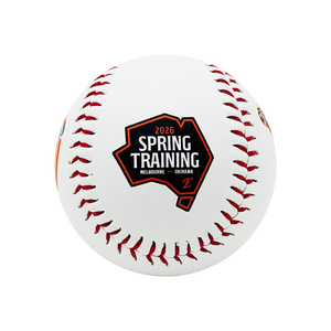 26 스프링캠프 기념구