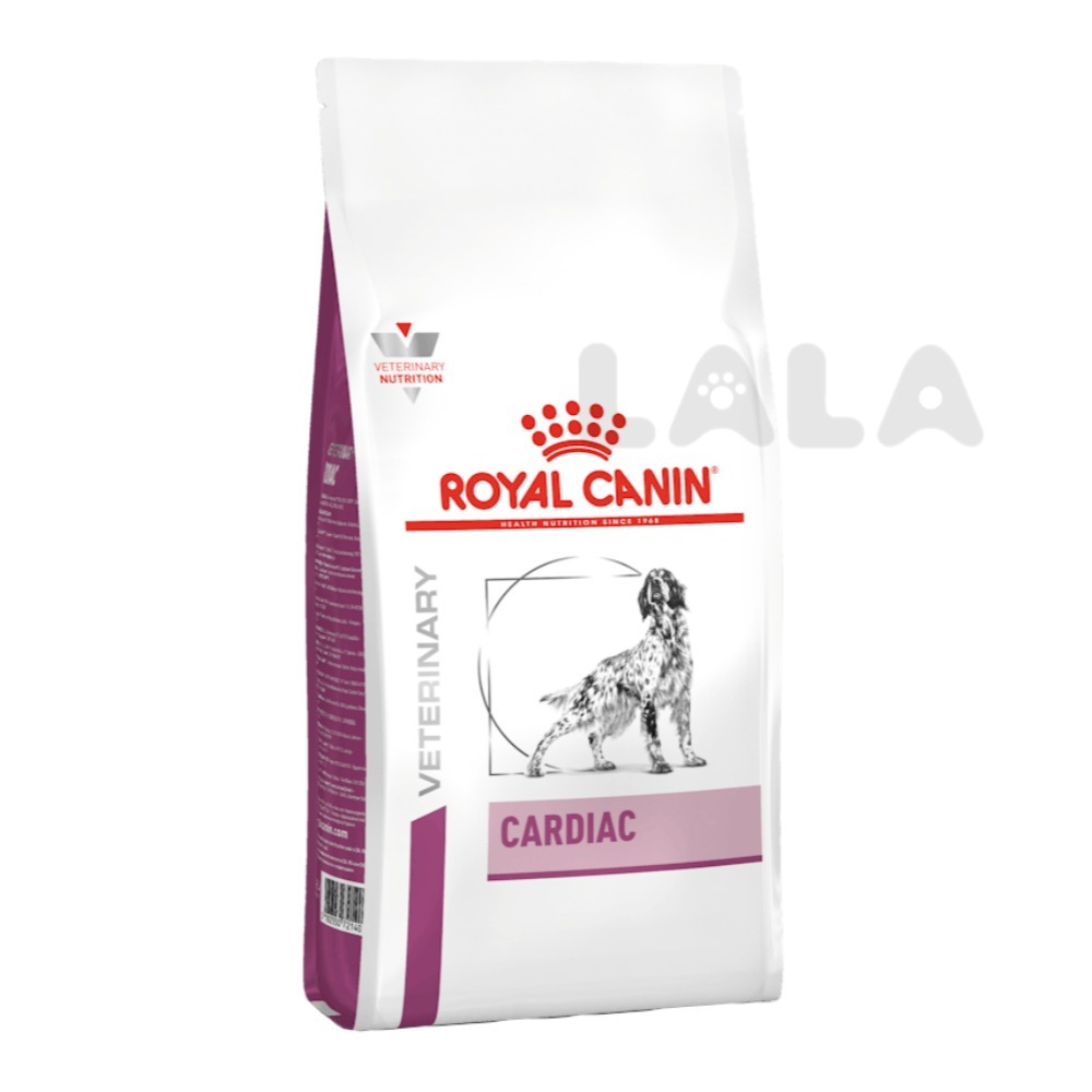 알라 바이 개 (82) 사진