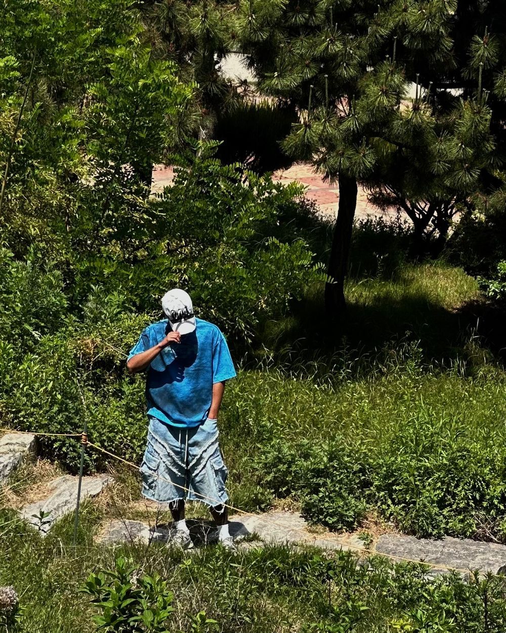 3a4b7726aa3641539671872025562fd6