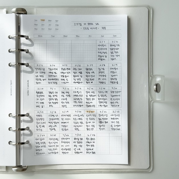 LUCALAB Cartie Undated Monthly Bullet Journal Refill