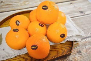 [단독] 블랙라벨 고당도 오렌지 2kg