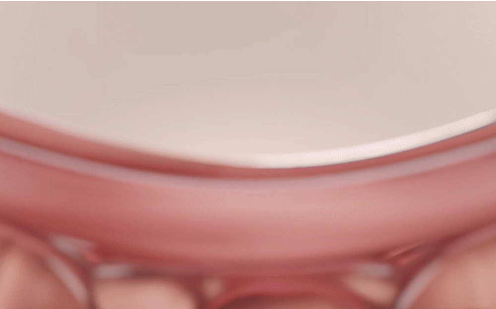 악세사리 -S29L19