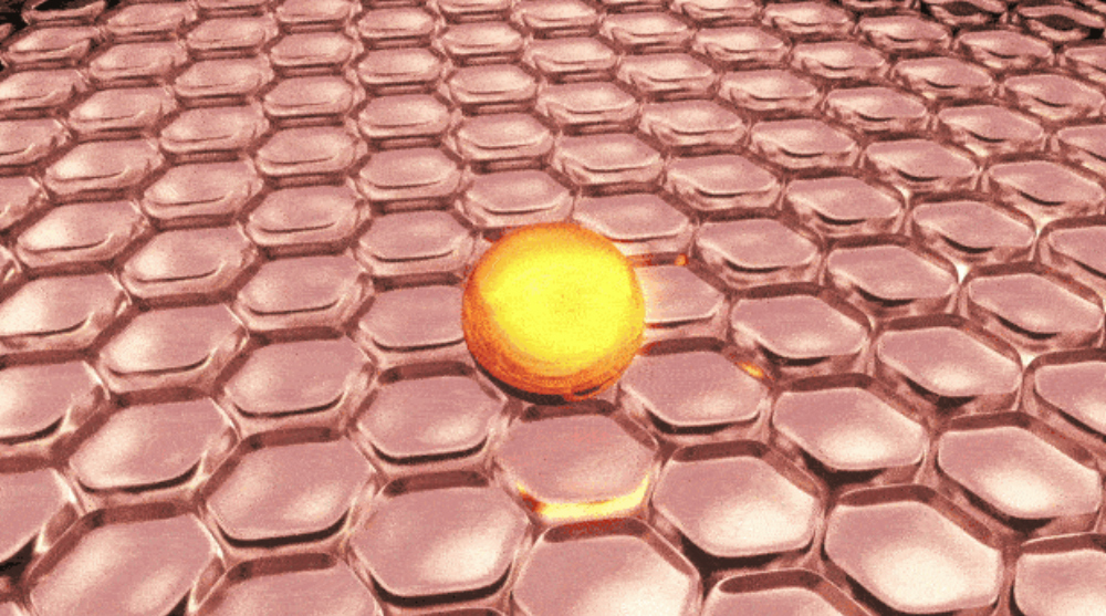 악세사리 -S29L53