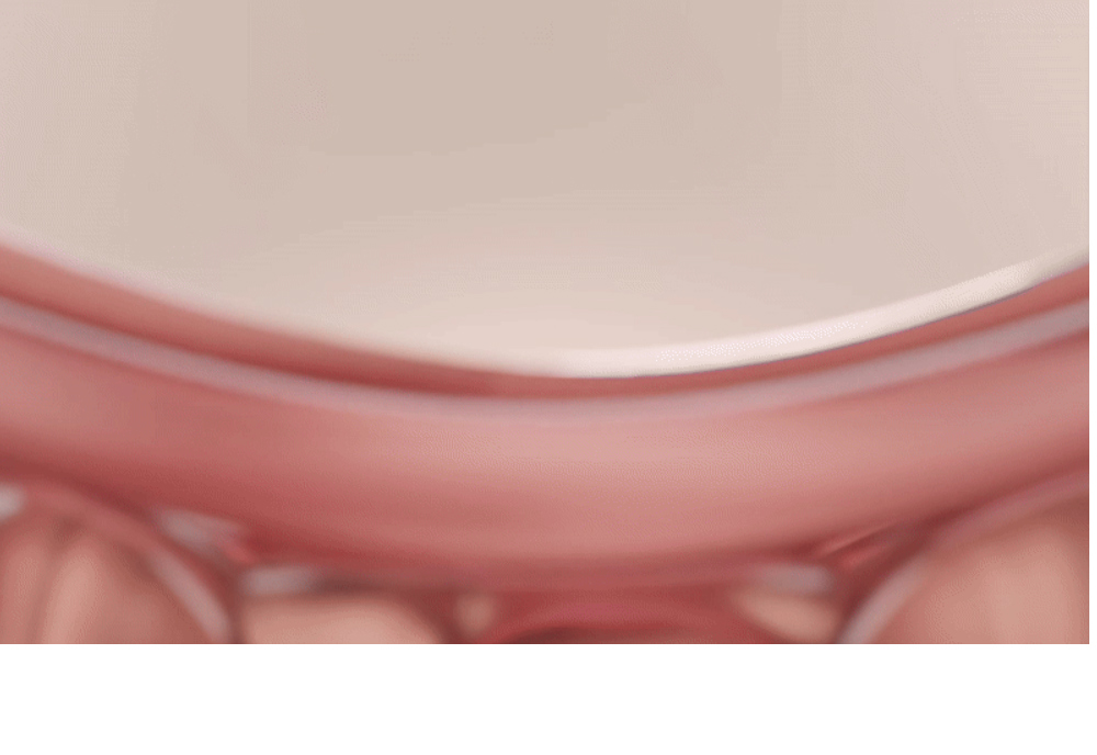 악세사리 -S29L30