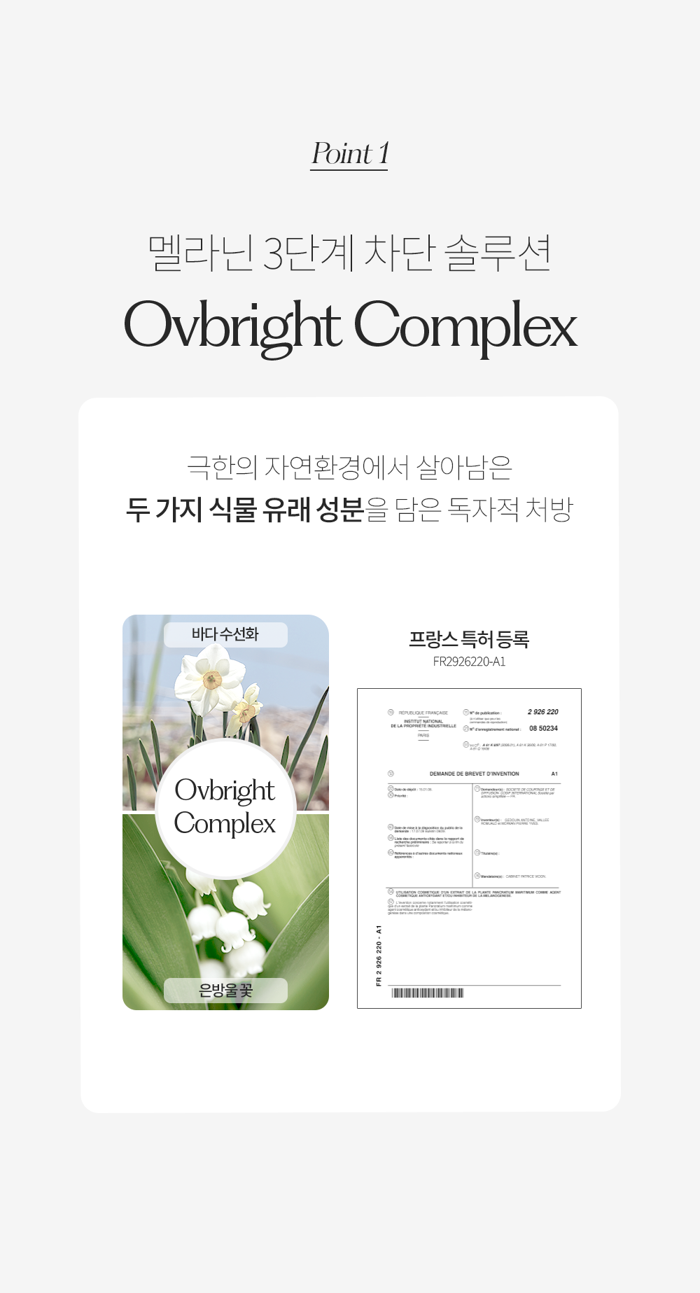 content-img-03