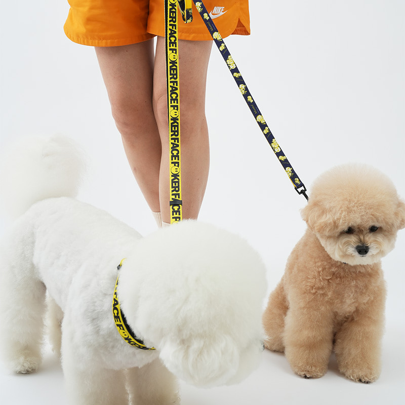 puppygallery ,dog lead