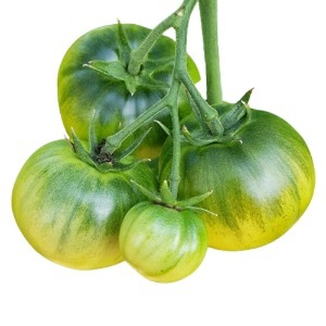 부산 대저 짭짤이 토마토 2.5kg