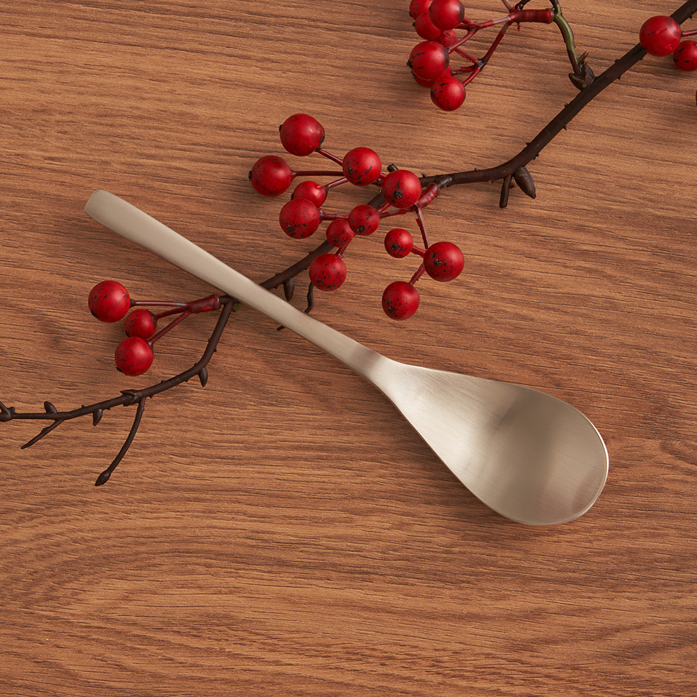 Udon and cereal spoon