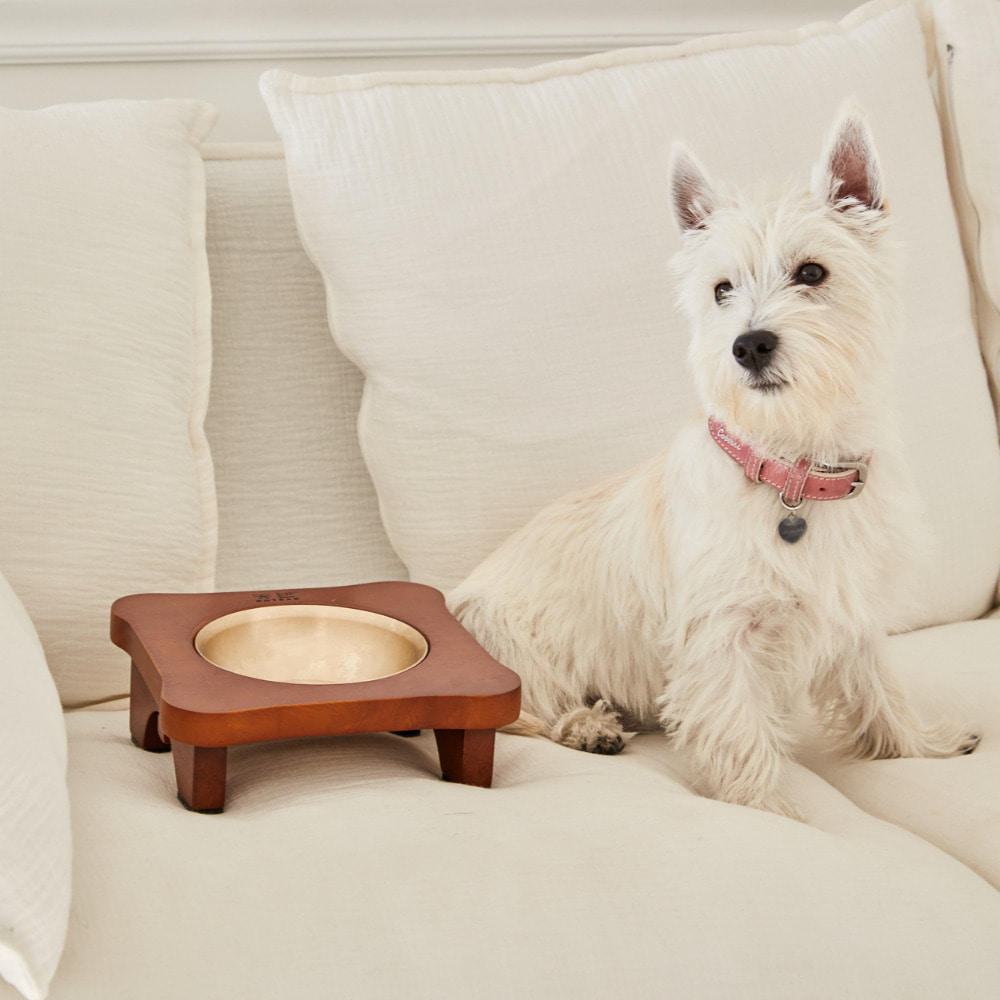 Pet bowl for dogs and cats (1 or 2 bowls)