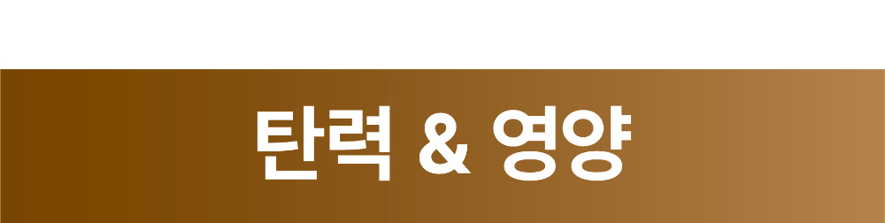 악세사리 상품상세 이미지-S2L28
