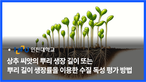 상추 씨앗을 이용한 수질 독성 평가 기술 개발