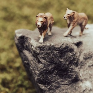 Lioness and male lion mini figures on the move