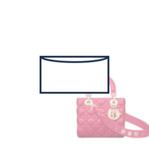 (7-31/ D-My-Lady) Bag Organizer for D “My Lady” / “My ABC” For Silky Lining