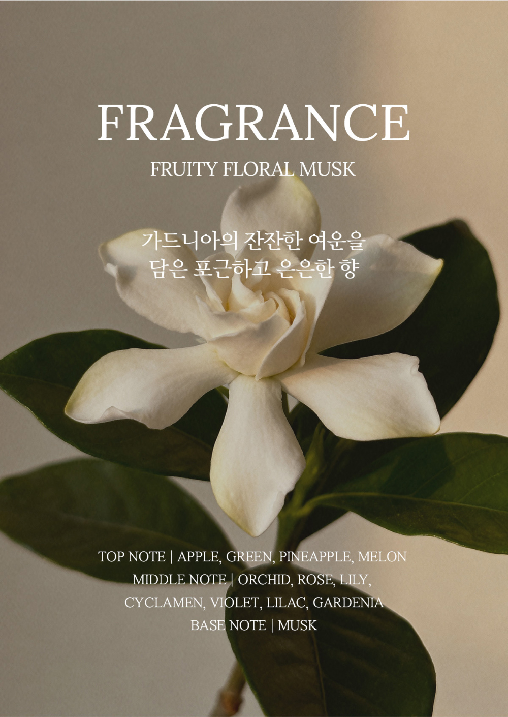 화장품 상품상세 이미지-S1L13