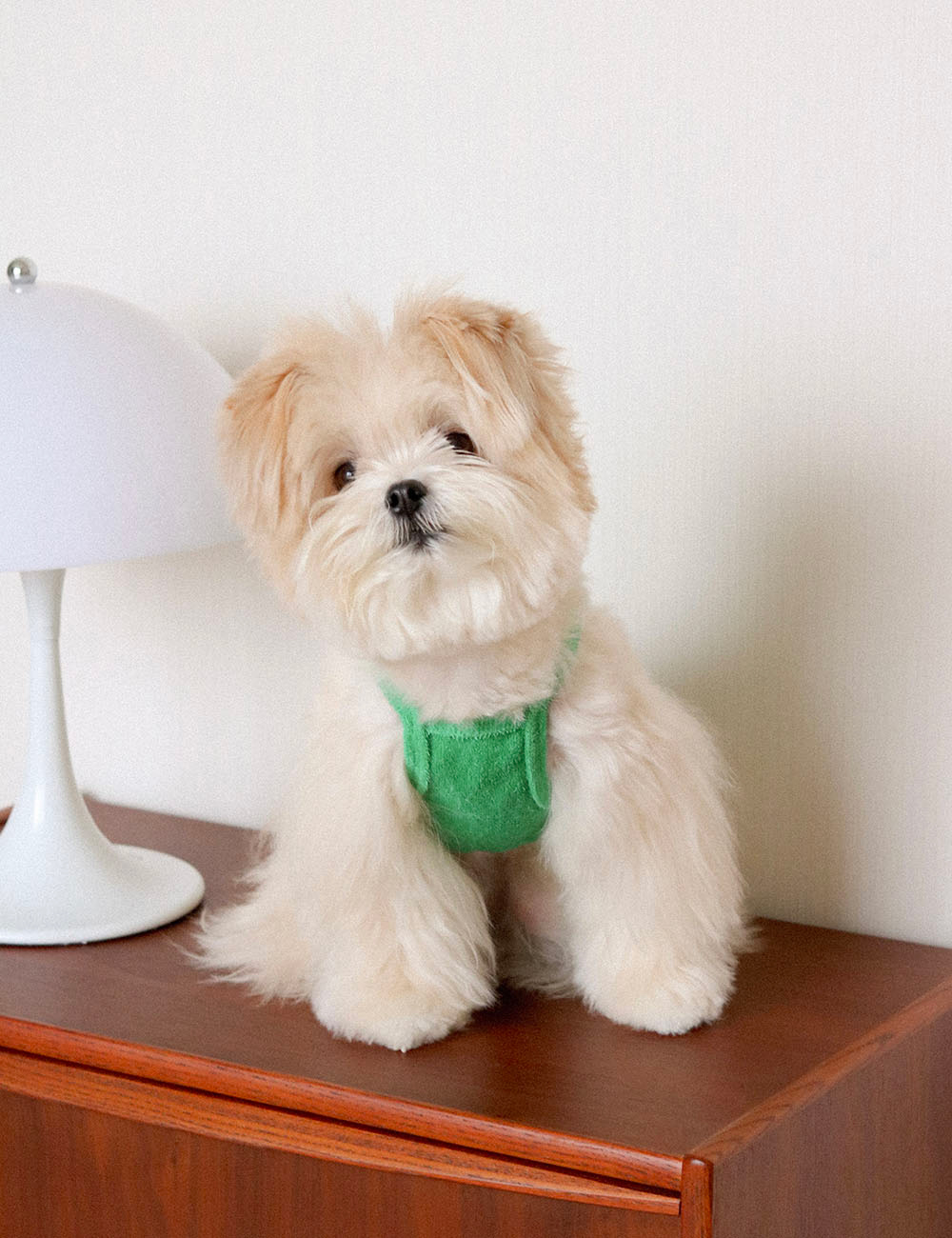 アクセサリー商品画像-S5L2