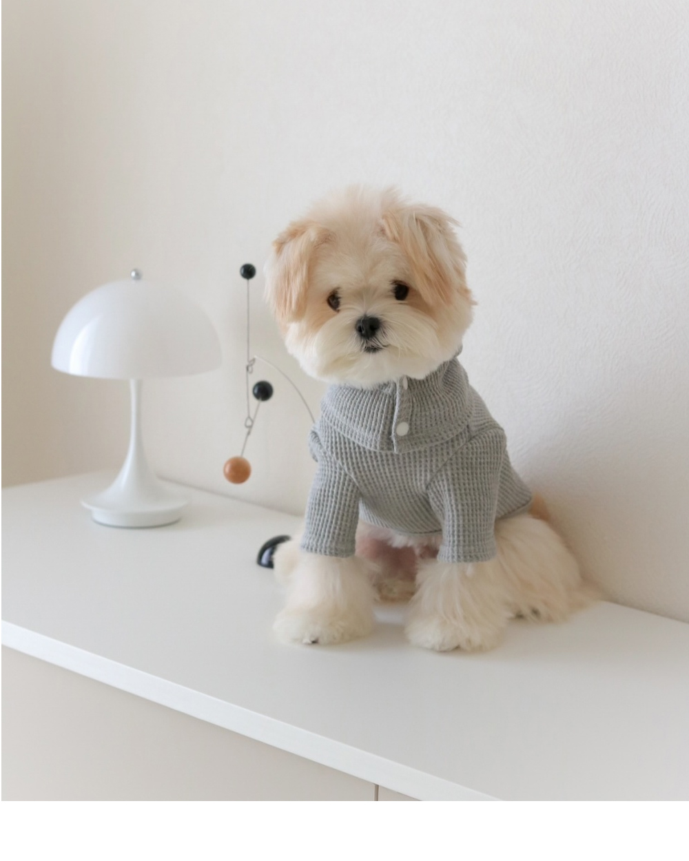 帽子モデル着用画像-S4L5