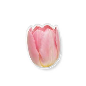[스마트톡] Pink Tulip