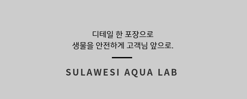 악세사리 -S11L8
