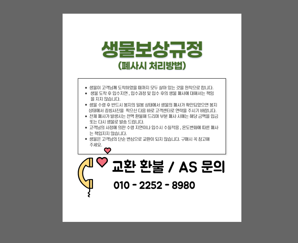 악세사리 상품 이미지-S11L9