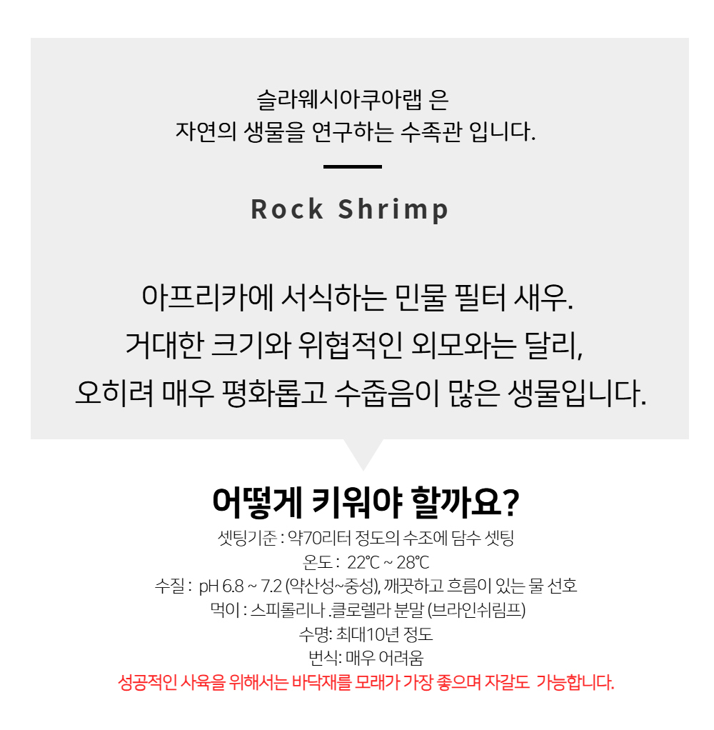 악세사리 -S11L4