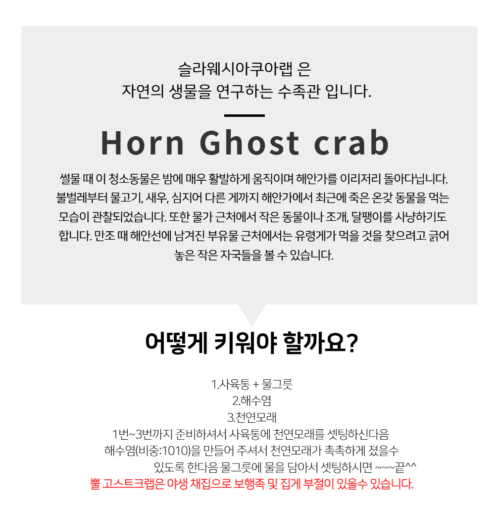 악세사리 -S6L4