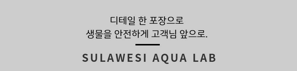 악세사리 -S6L8