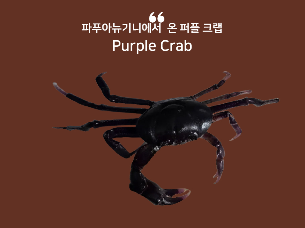 악세사리 차콜 색상 이미지-S6L2