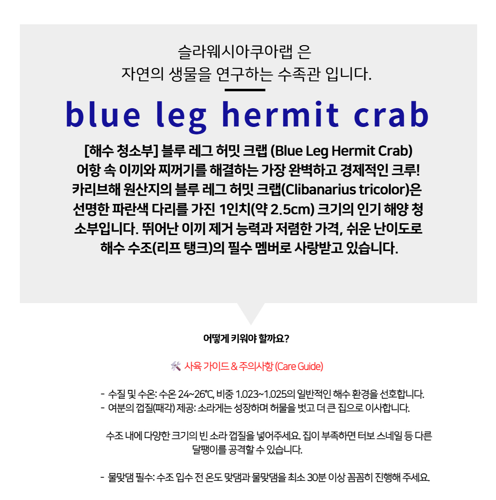 악세사리 -S6L4