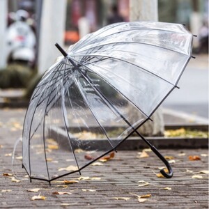 16K 투명 우산 튼튼한 고급 장우산  가벼운우산 경량우산 비닐 대형