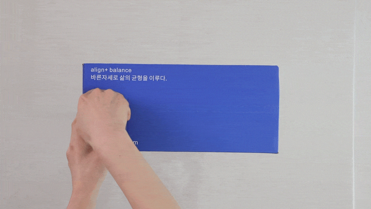 얼라인비 목보호대