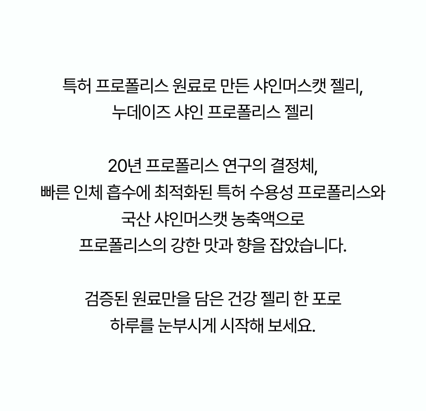 누데이즈 소개