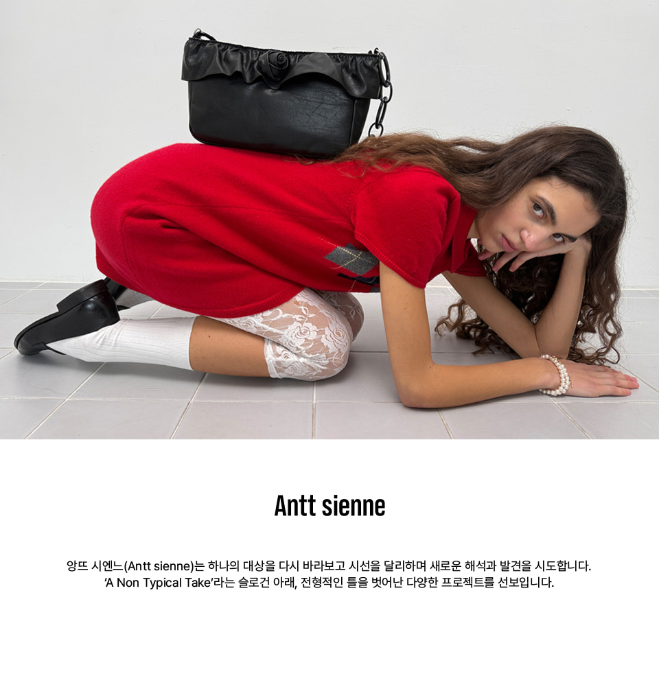 앙뜨시엔느(ANTT SIENNE) Formica Bag (Brown) - 사이즈 & 후기