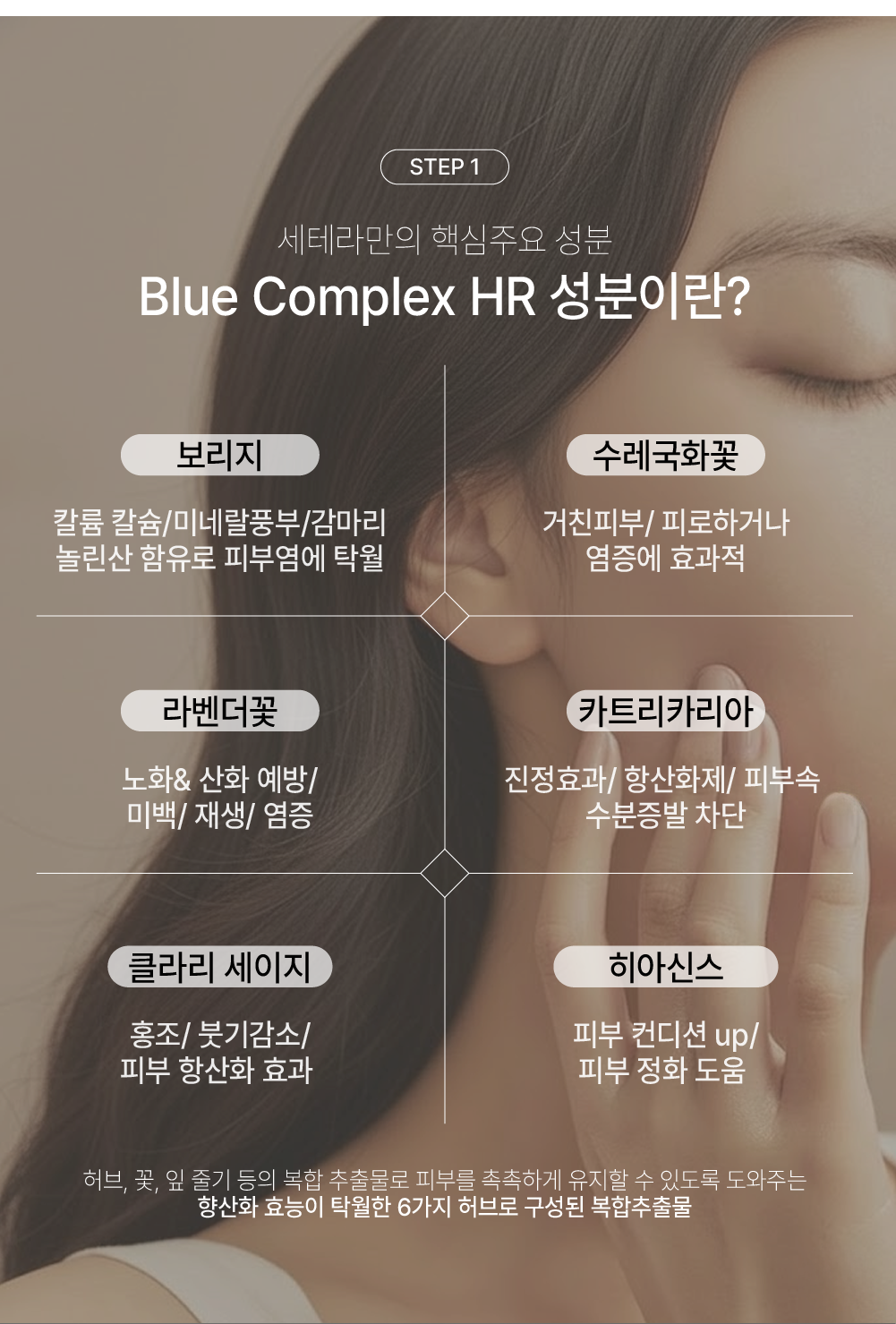 [더테라피] 쿠션 15g×2ea