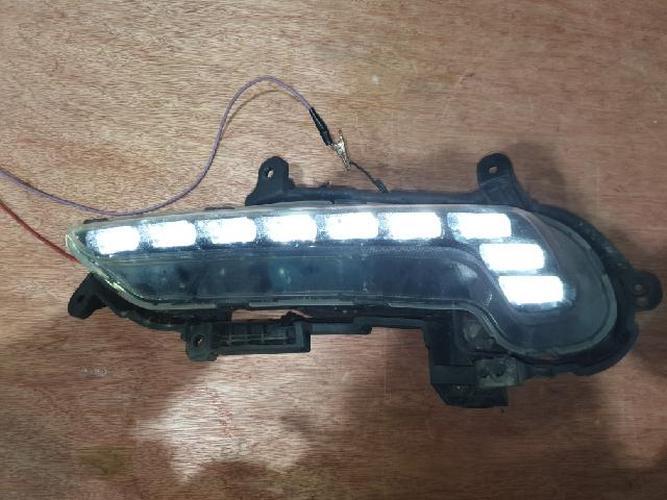 Fog Light Left (LH) Kia K9 (2013)