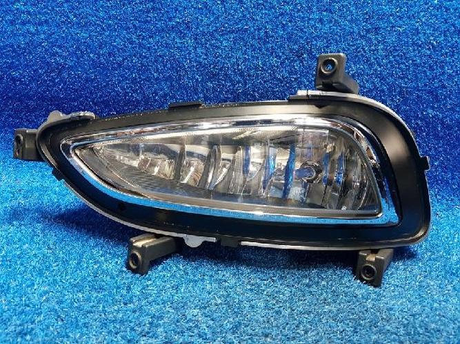 Fog Light Left (LH) Hyundai Grandeur (2011)
