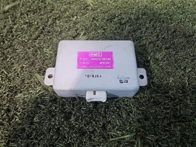 Electronic Module Hyundai Grandeur (2002)