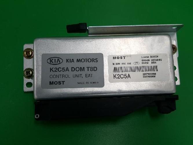 Блок управления АКПП (TCU) Kia Carens (2000)