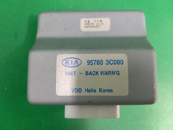 Body Control Module (BCM) Kia Optima (2002)