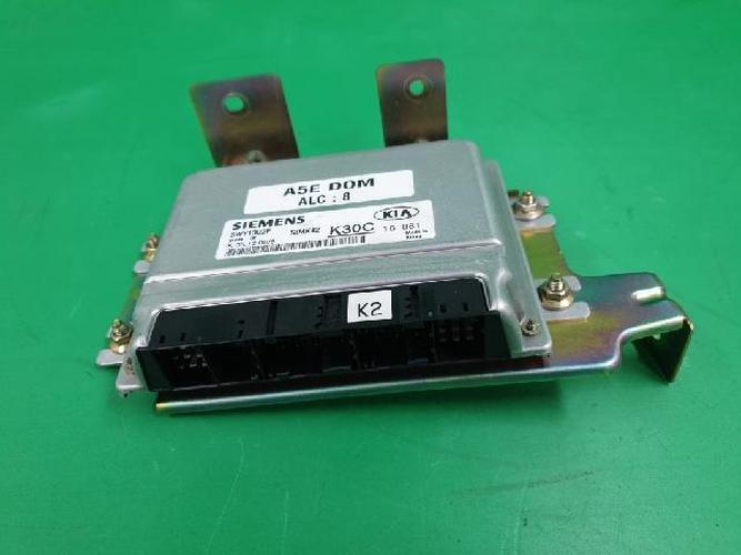 Блок управления двигателем (ECU) Kia Rio (2001)