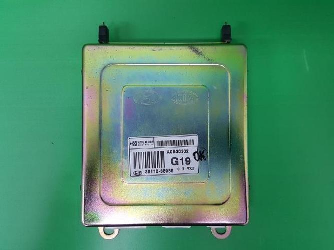 Engine Control Unit (ECU) Hyundai Grand Starex (2000)