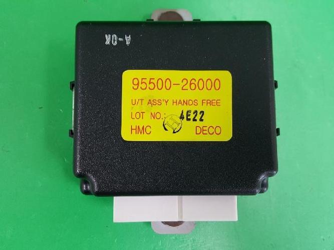 Body Control Module (BCM) Hyundai Santa Fe (2004–2005)