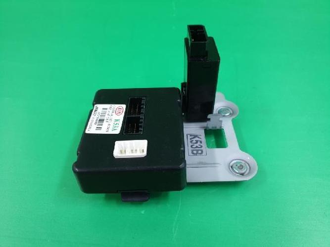 Body Control Module (BCM) Kia Carnival (2001–2002)