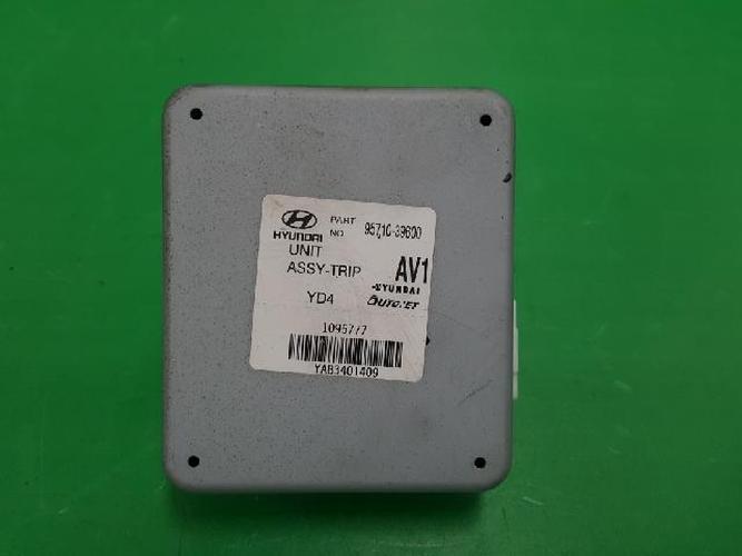 Body Control Module (BCM) Hyundai Grandeur (2003)